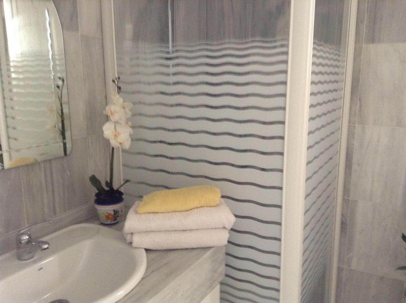 Guest bathroom + shower